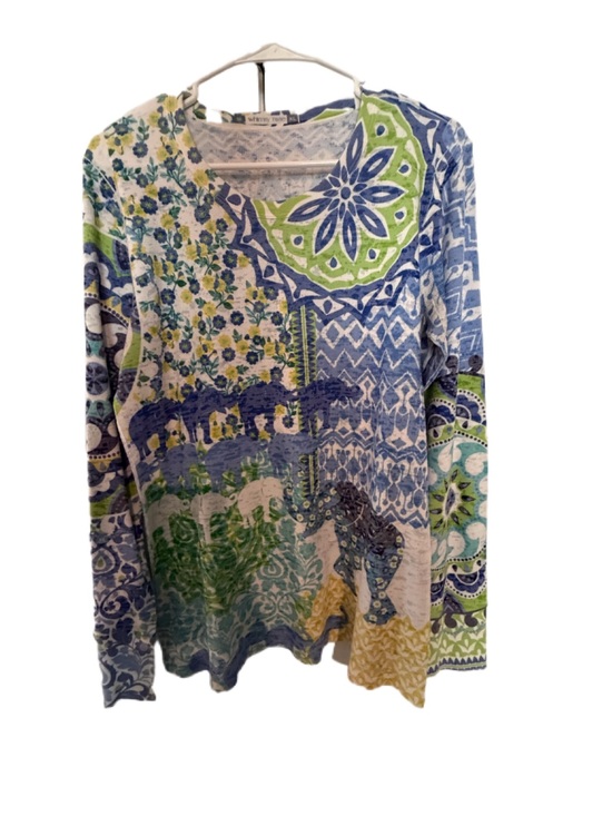 Whimsy Rose Tops - Sundance Patterned Long Sleeve Tee in Blue & Green